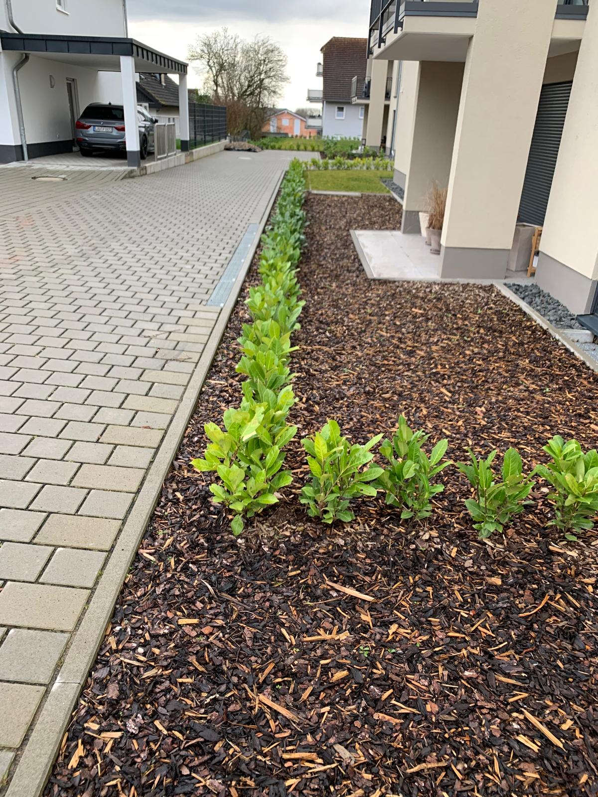 Außenprojekt